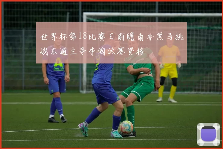 世界杯第18比赛日前瞻南非黑马挑战东道主争夺淘汰赛资格